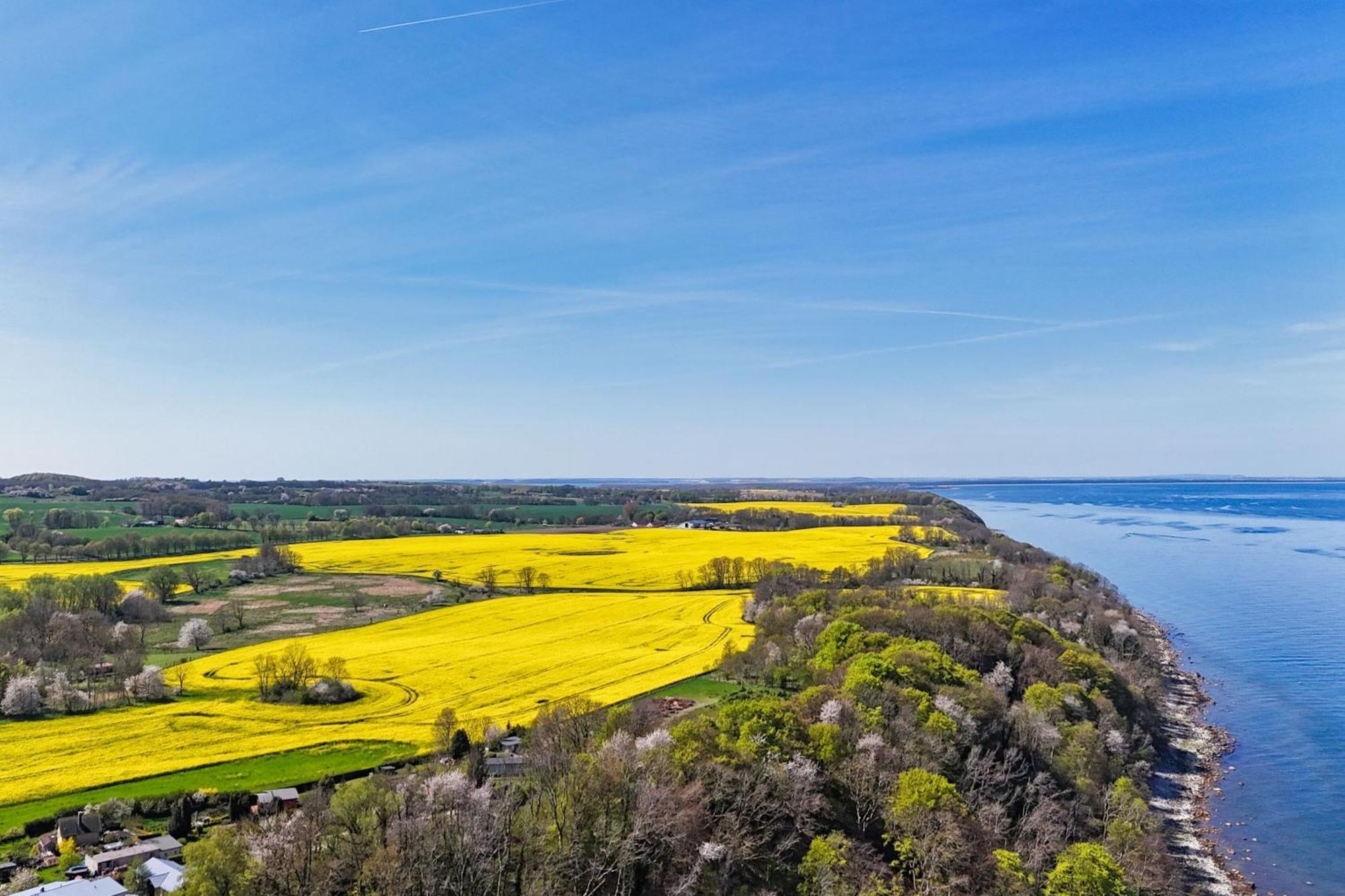 Ferienwohnung Mit Traumhaftem Meerblick - Haus Am Meer Fewo 11 Ломе Екстериор снимка